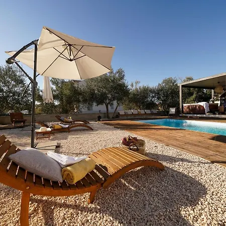 Suncica Zadarvillas *